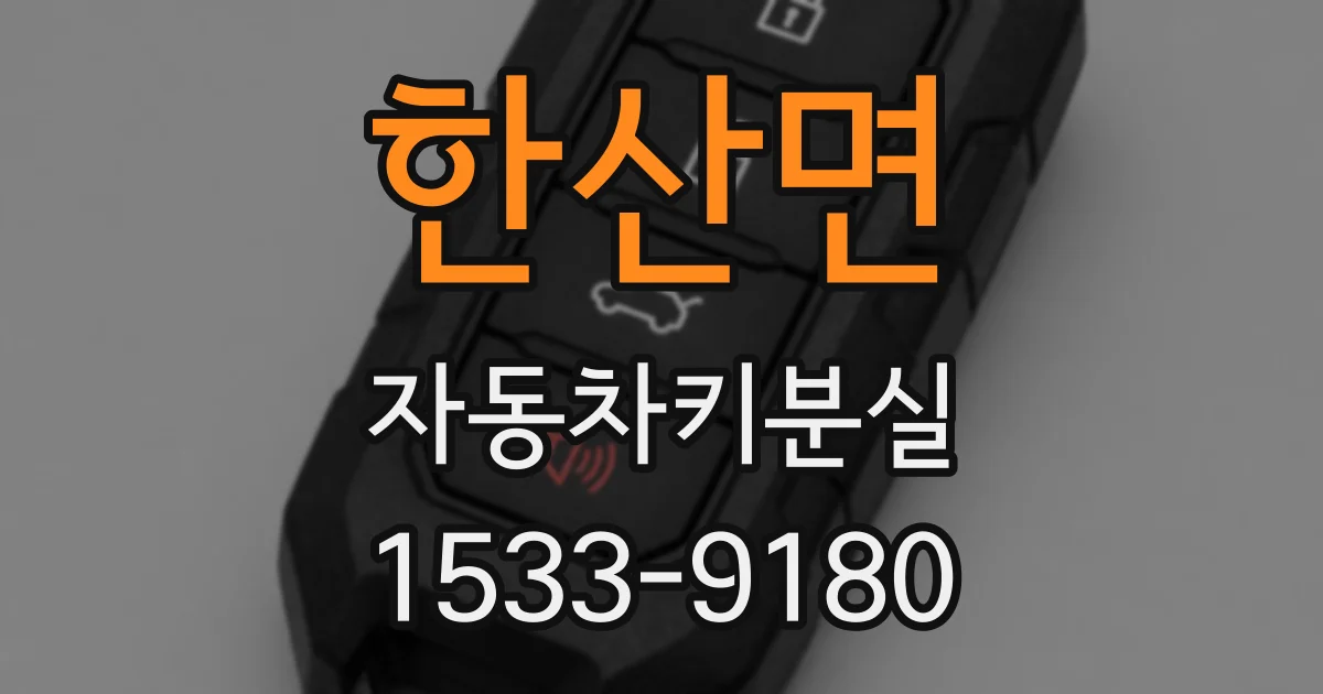 한산면 자동차키분실