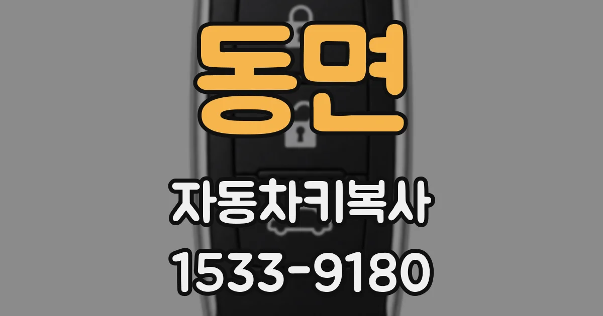 동면 자동차키복사