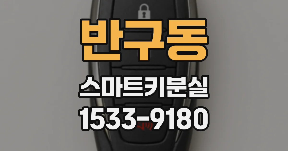 반구동 스마트키분실