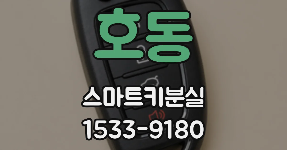 호동 스마트키분실