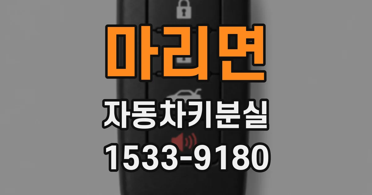 마리면 자동차키분실