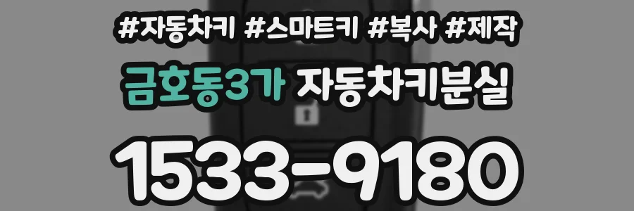 금호동3가 자동차키분실