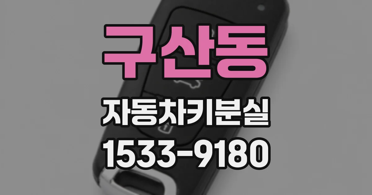 구산동 자동차키분실