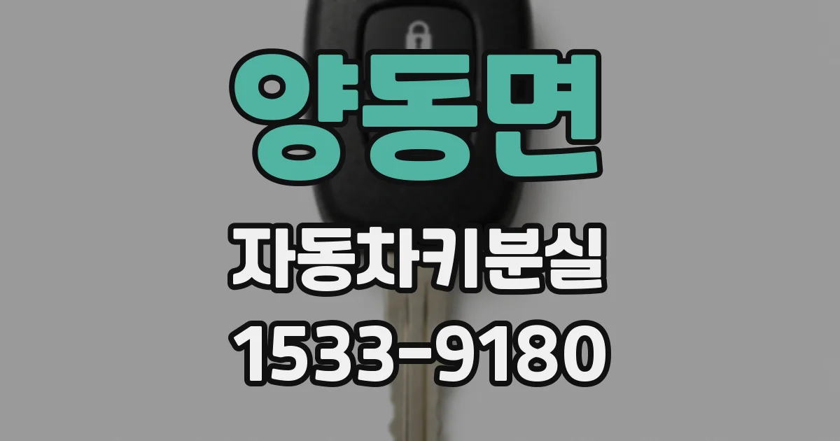 양동면 자동차키분실