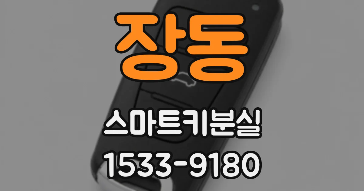 장동 스마트키분실