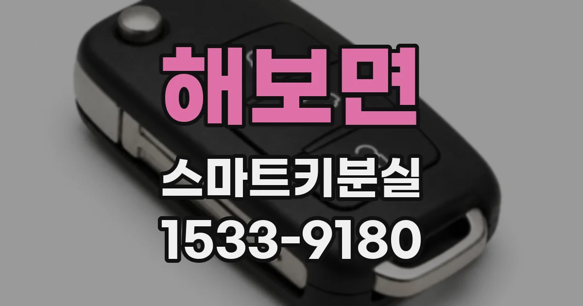 해보면 스마트키분실