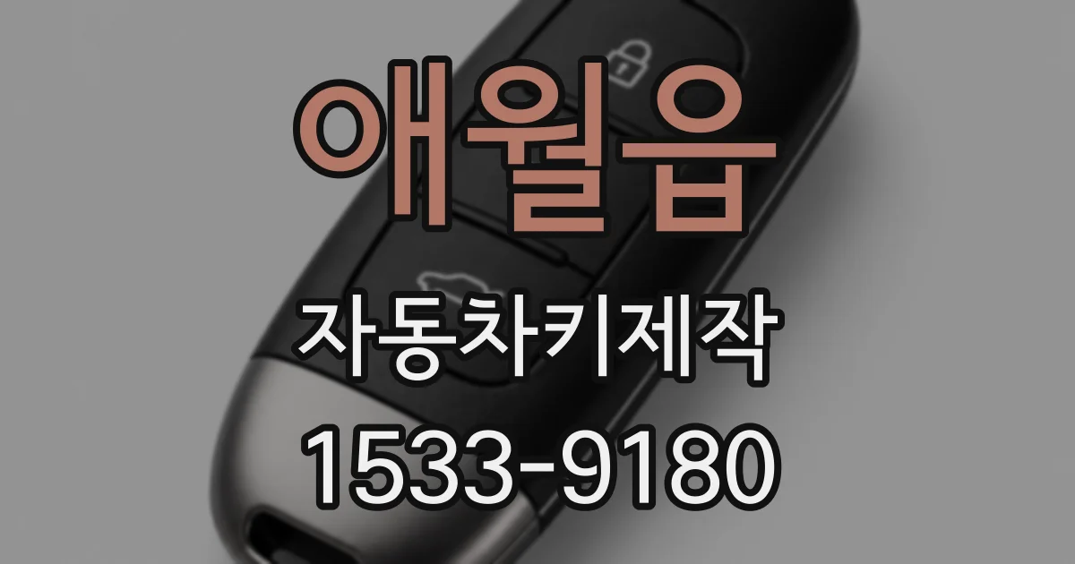 애월읍 자동차키제작