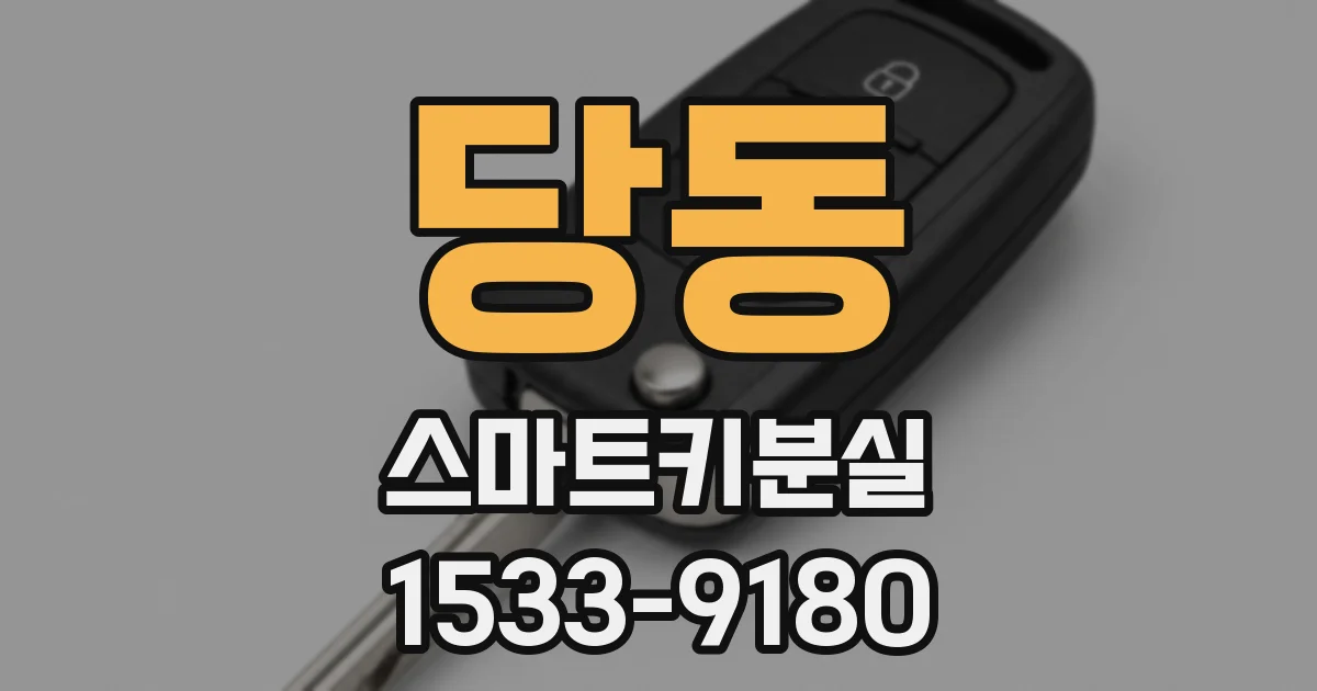 당동 스마트키분실