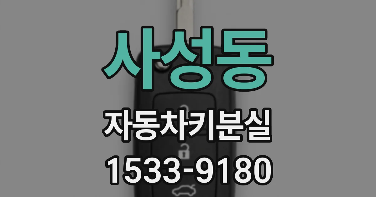 사성동 자동차키분실
