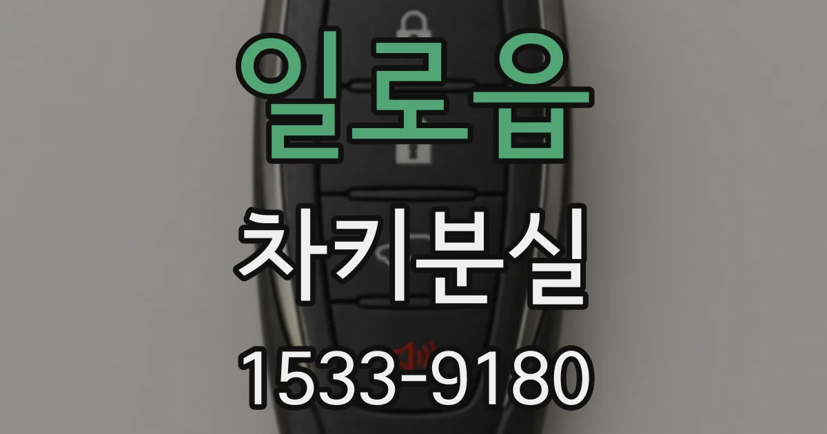 일로읍 차키분실