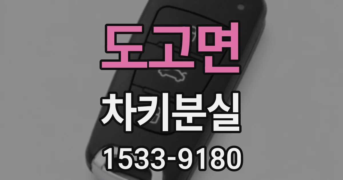 도고면 차키분실