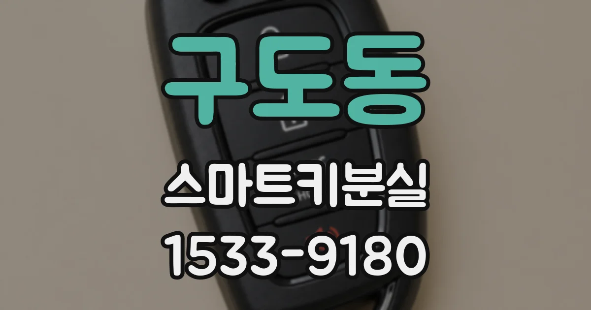 구도동 스마트키분실