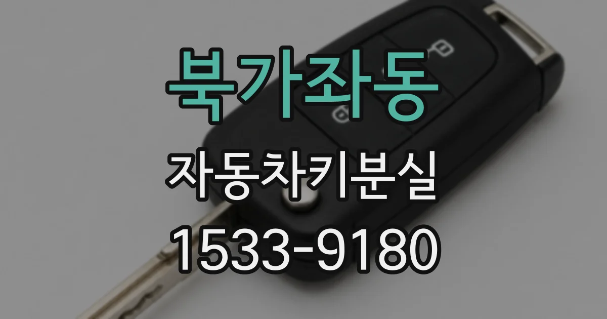 북가좌동 자동차키분실