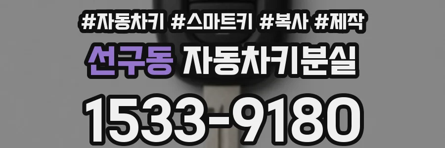 선구동 자동차키분실