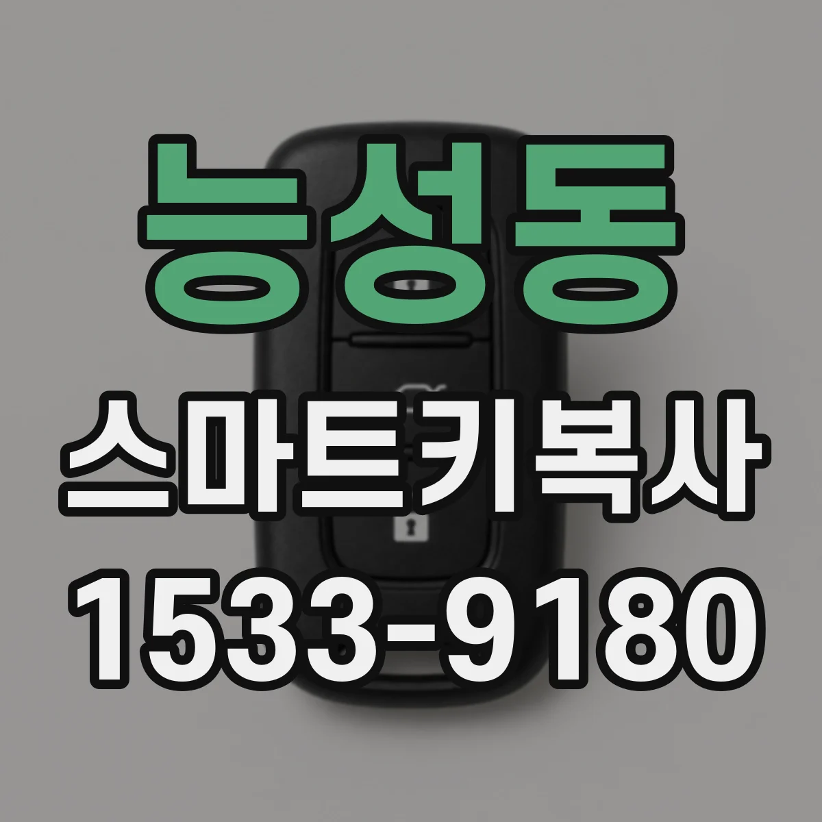 능성동 스마트키복사