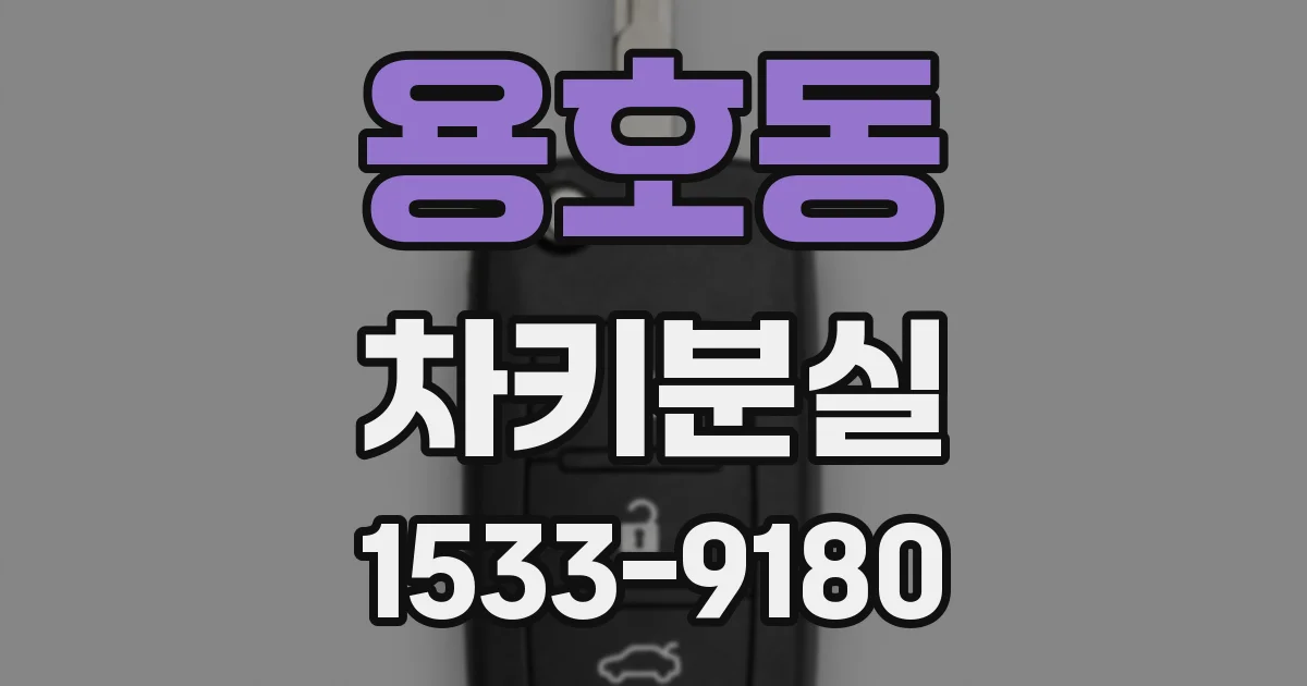 용호동 차키분실