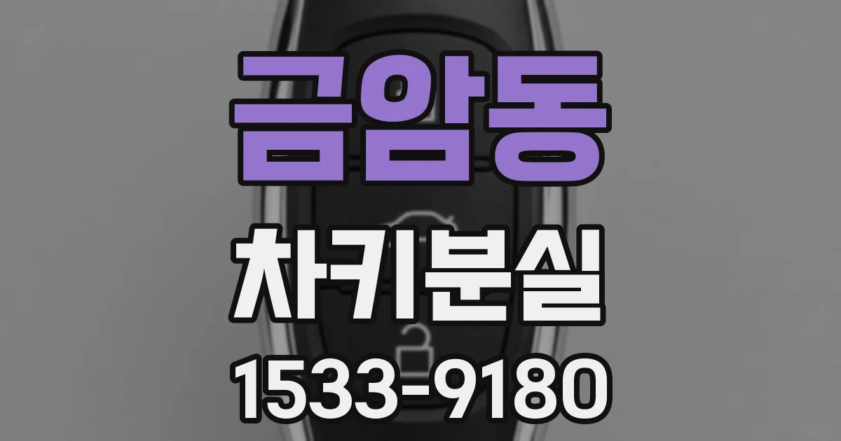 금암동 차키분실