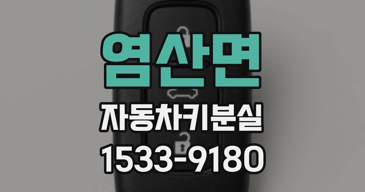 염산면 자동차키분실