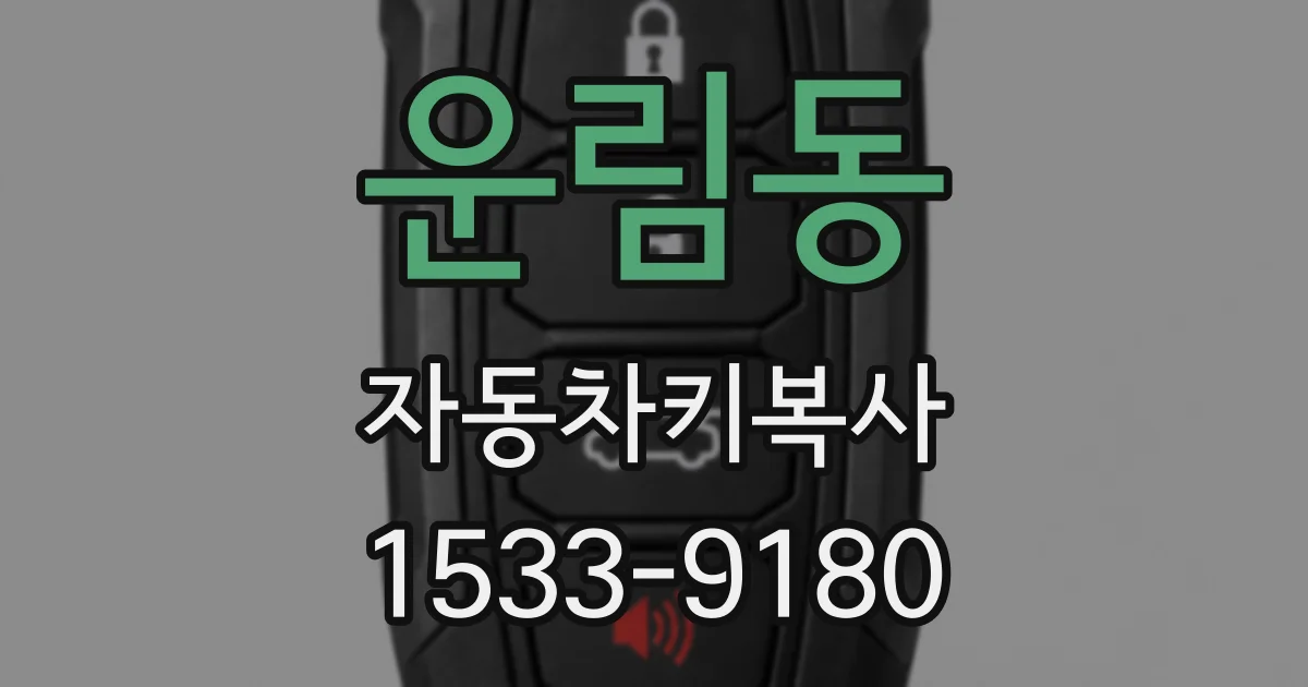 운림동 자동차키복사