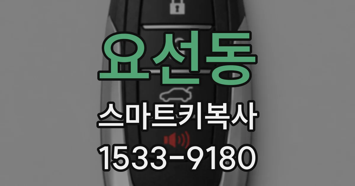 요선동 스마트키복사