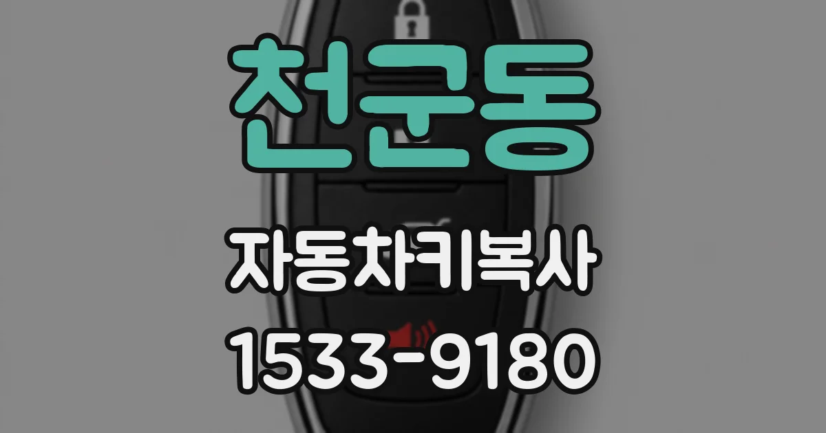 천군동 자동차키복사