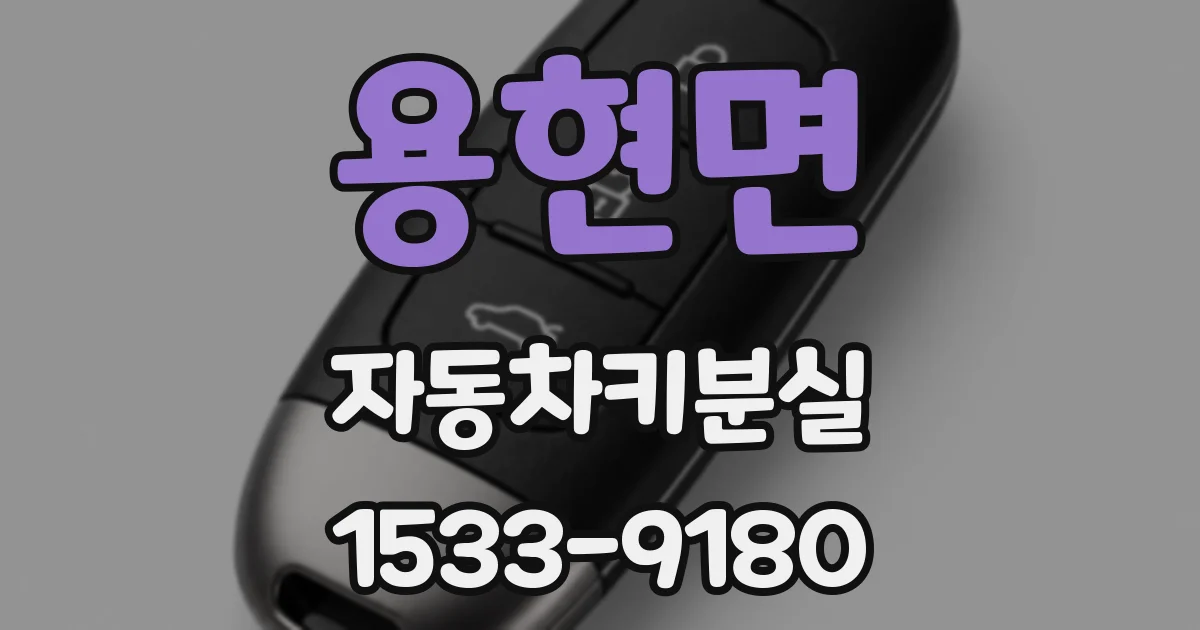 용현면 자동차키분실