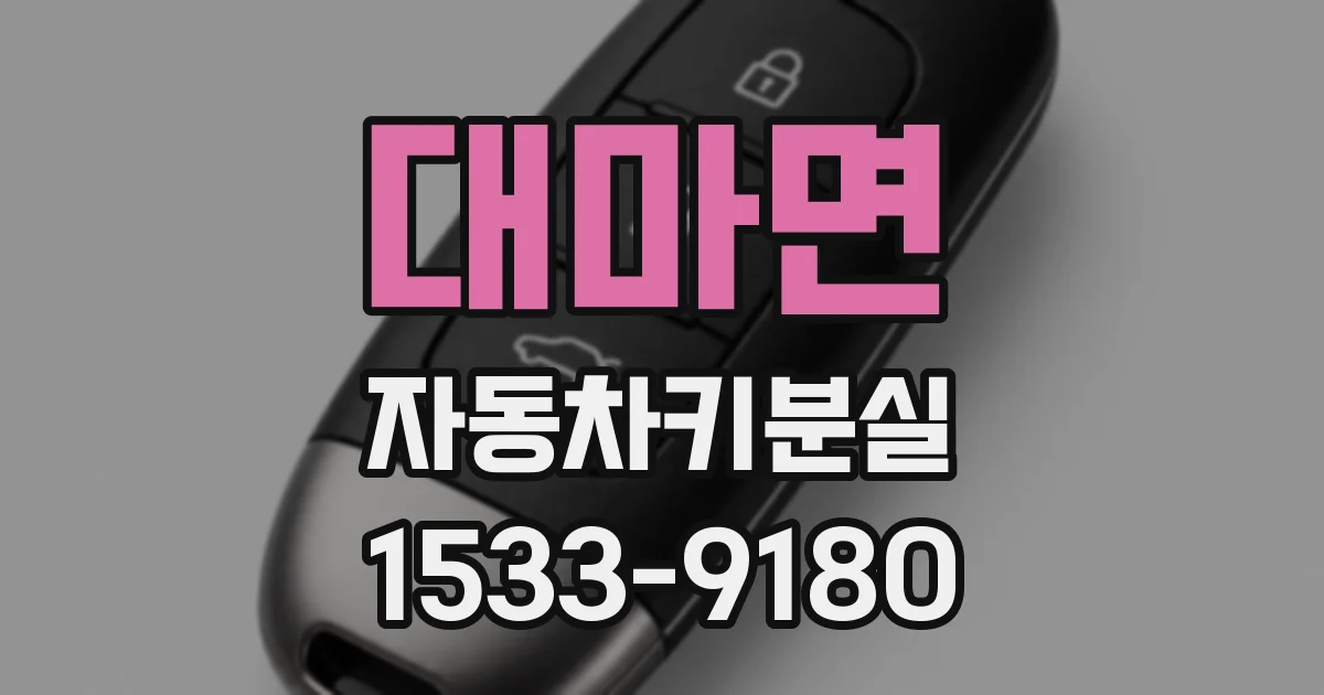 대마면 자동차키분실