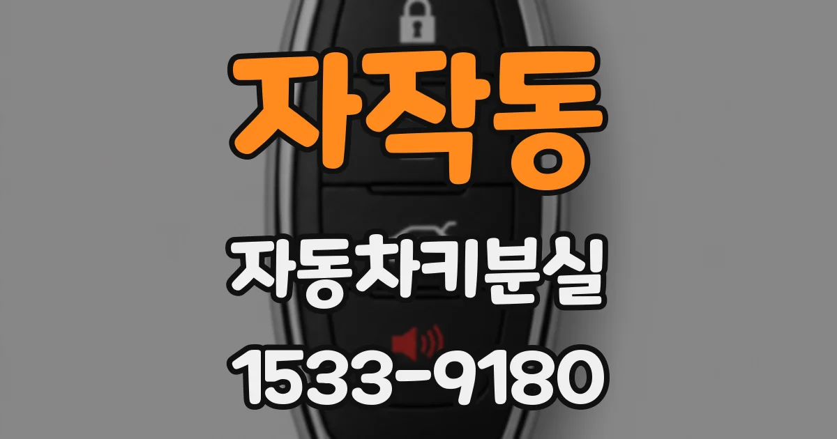 자작동 자동차키분실