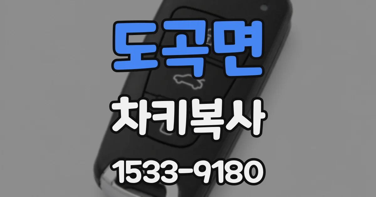 도곡면 차키복사