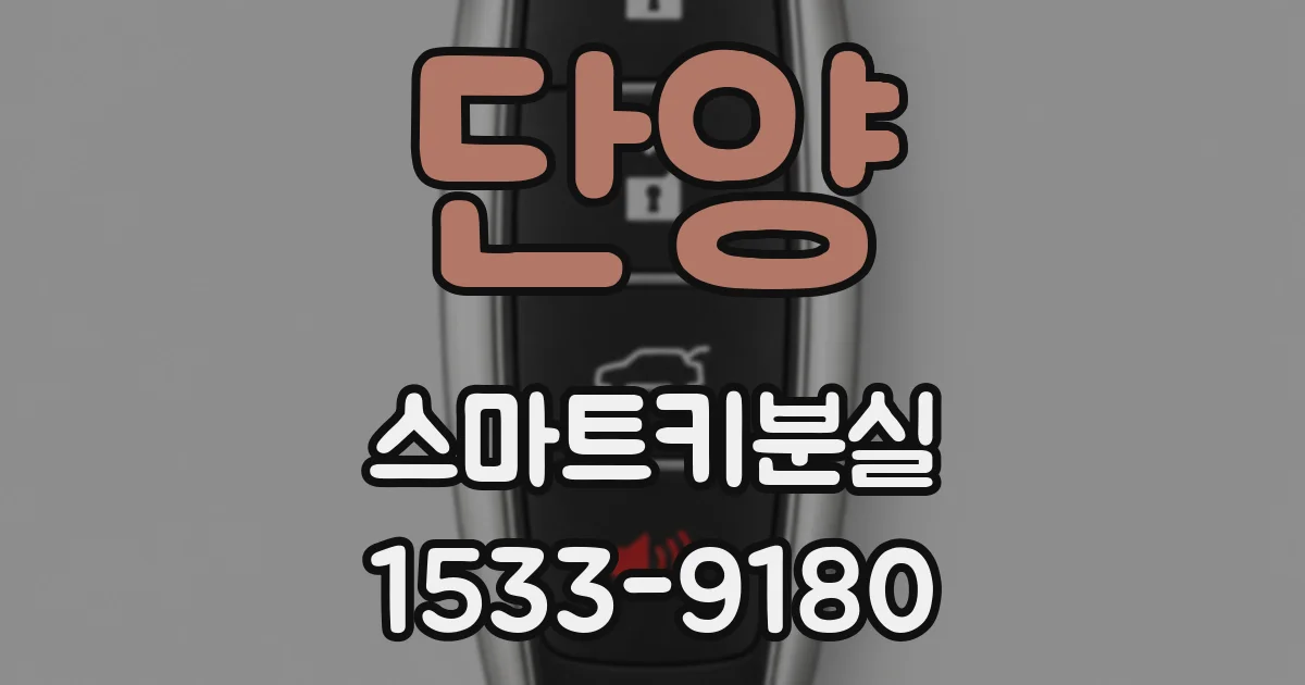 단양 스마트키분실