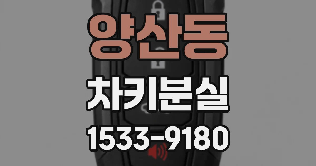 양산동 차키분실