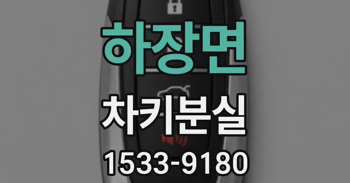 하장면 차키분실