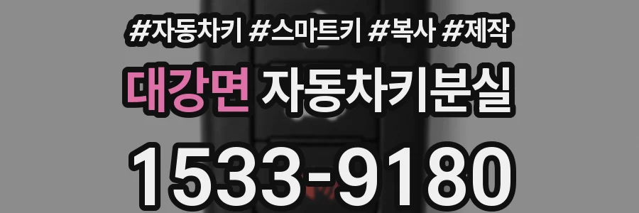 대강면 자동차키분실