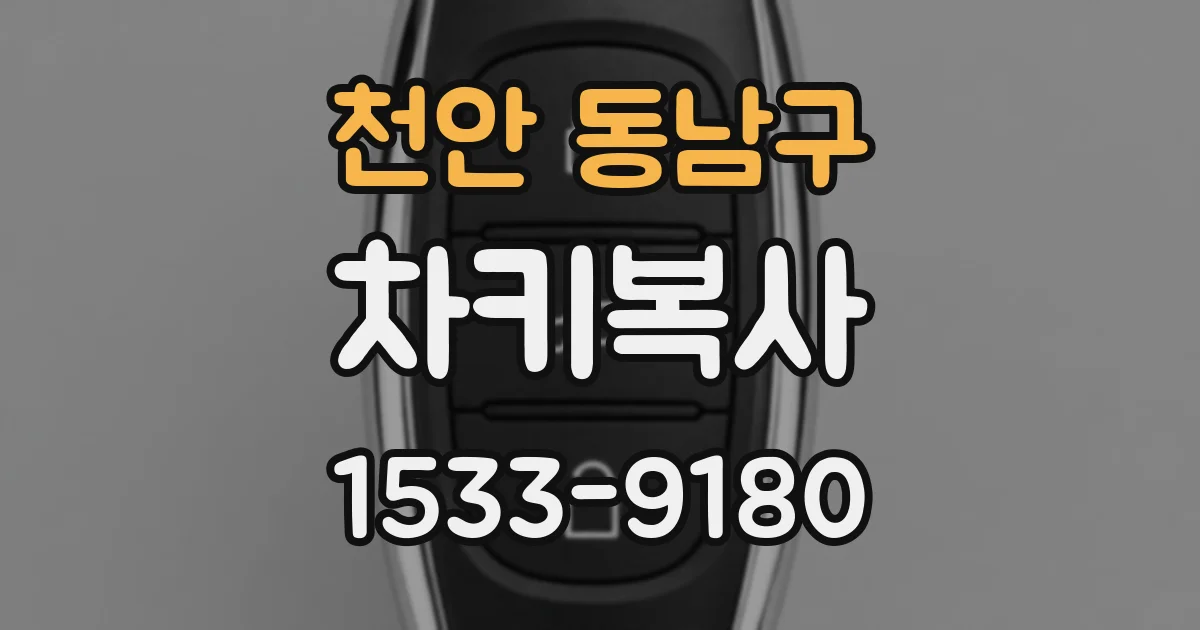 천안 동남구 차키복사