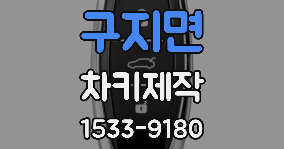 구지면 차키제작