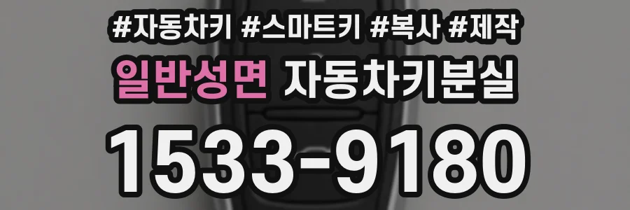 일반성면 자동차키분실
