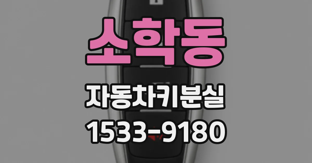 소학동 자동차키분실