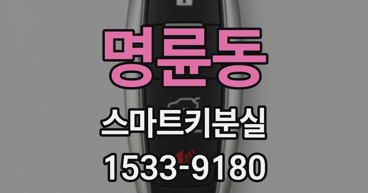 명륜동 스마트키분실