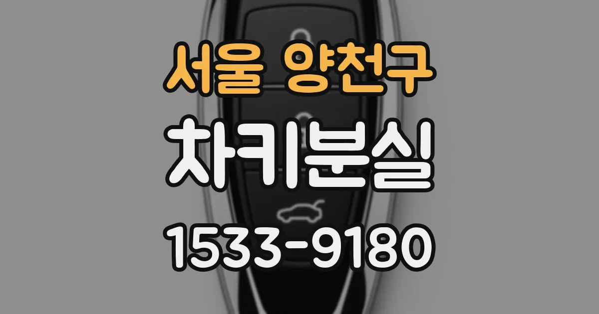 서울 양천구 차키분실