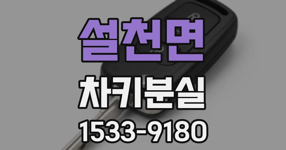 설천면 차키분실