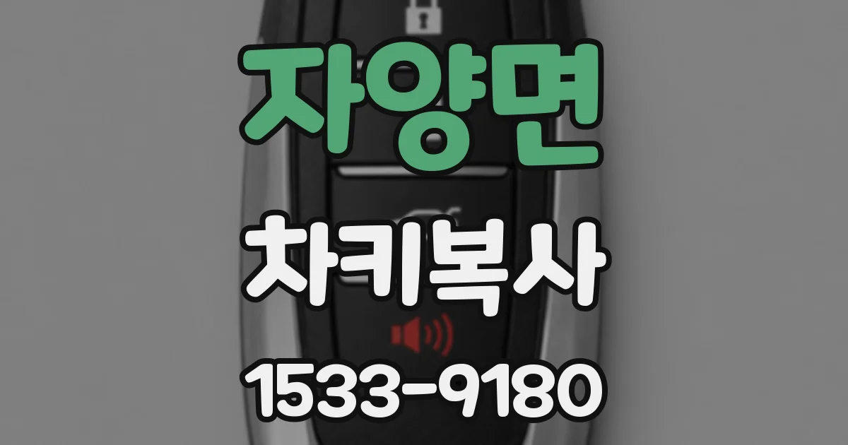 자양면 차키복사