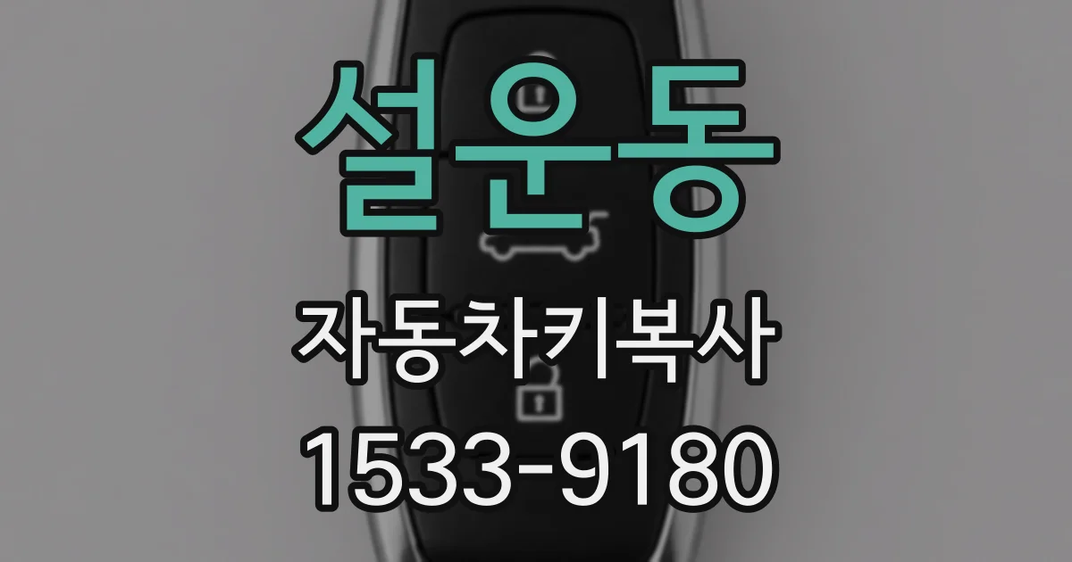설운동 자동차키복사