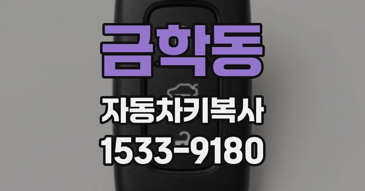 금학동 자동차키복사