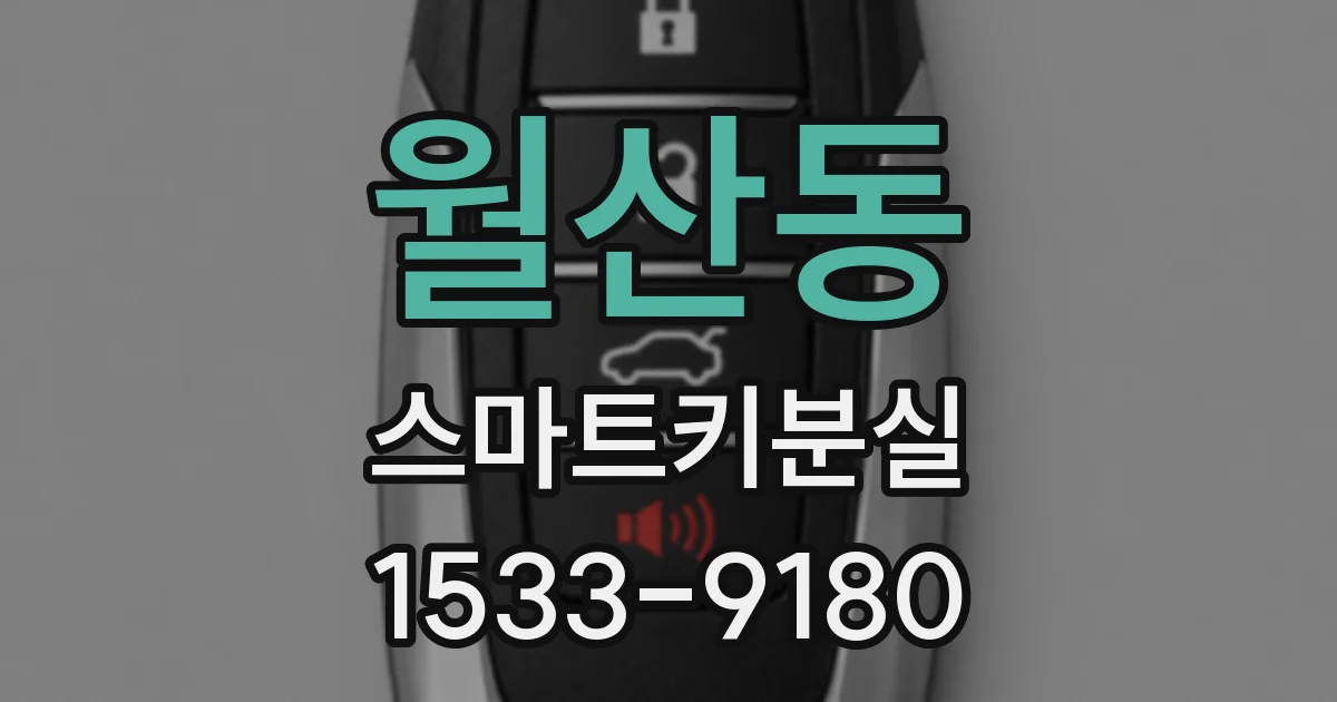월산동 스마트키분실
