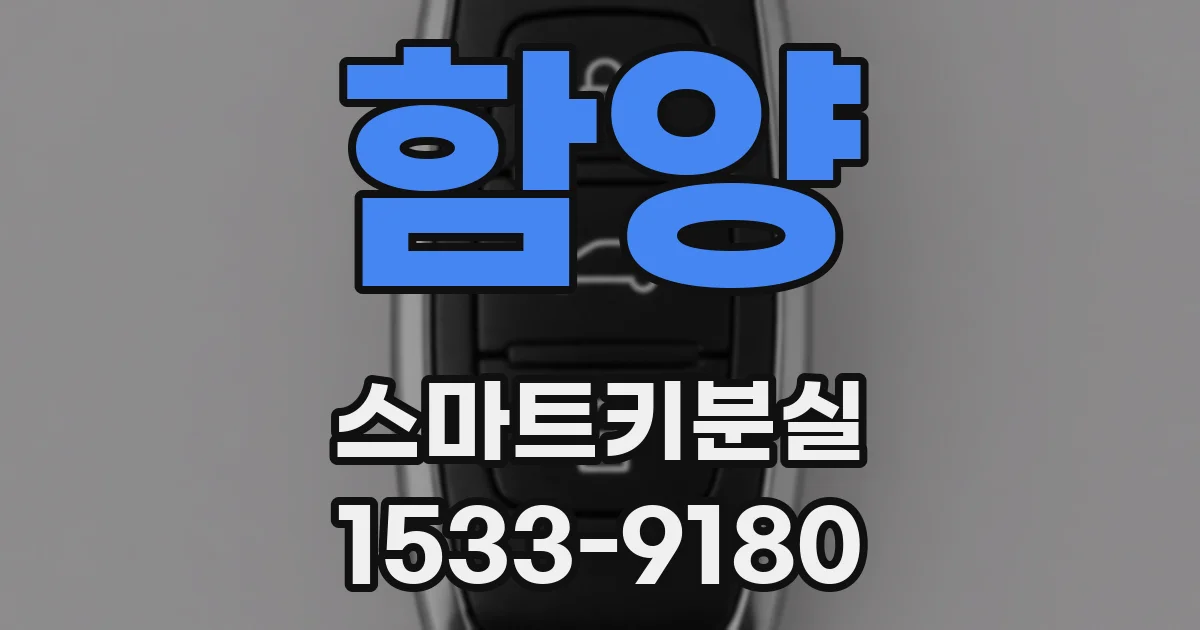 함양 스마트키분실