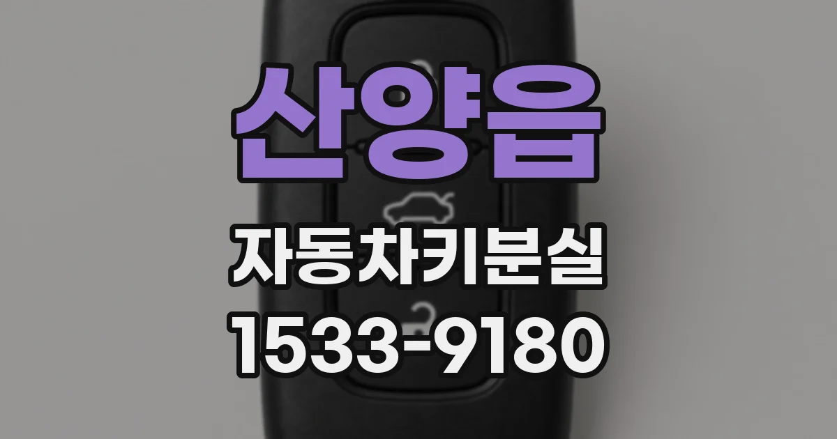 산양읍 자동차키분실