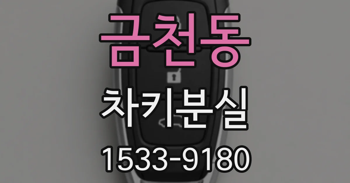 금천동 차키분실