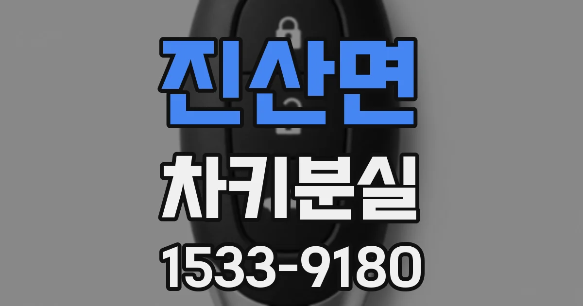 진산면 차키분실
