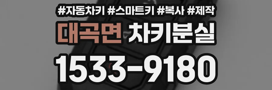 대곡면 차키분실