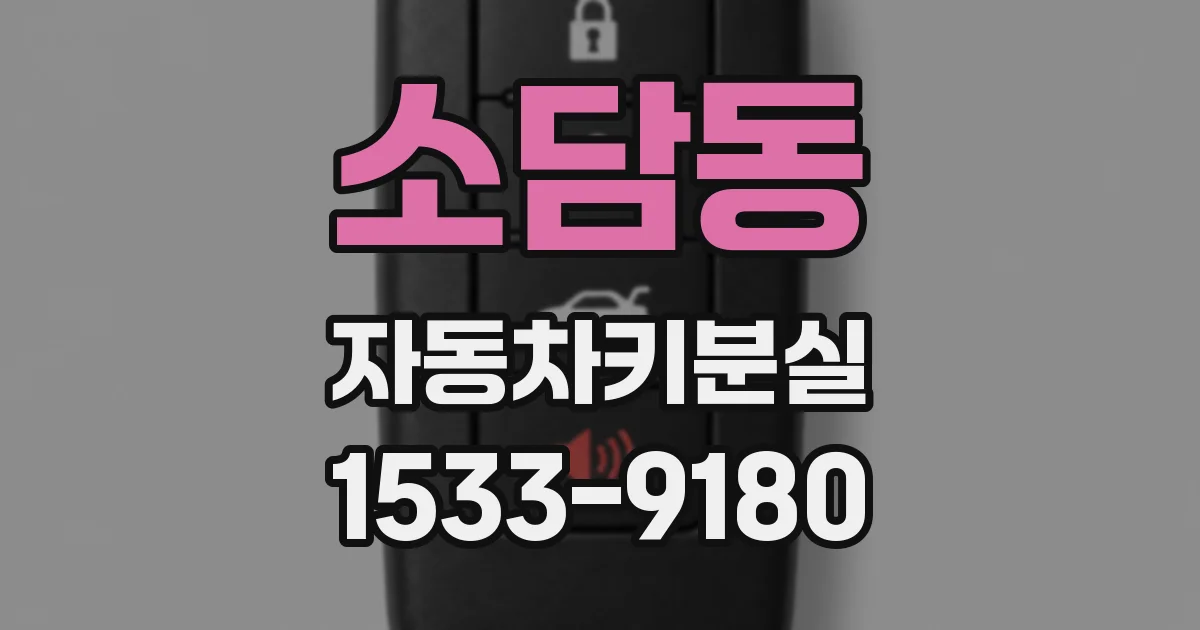 소담동 자동차키분실